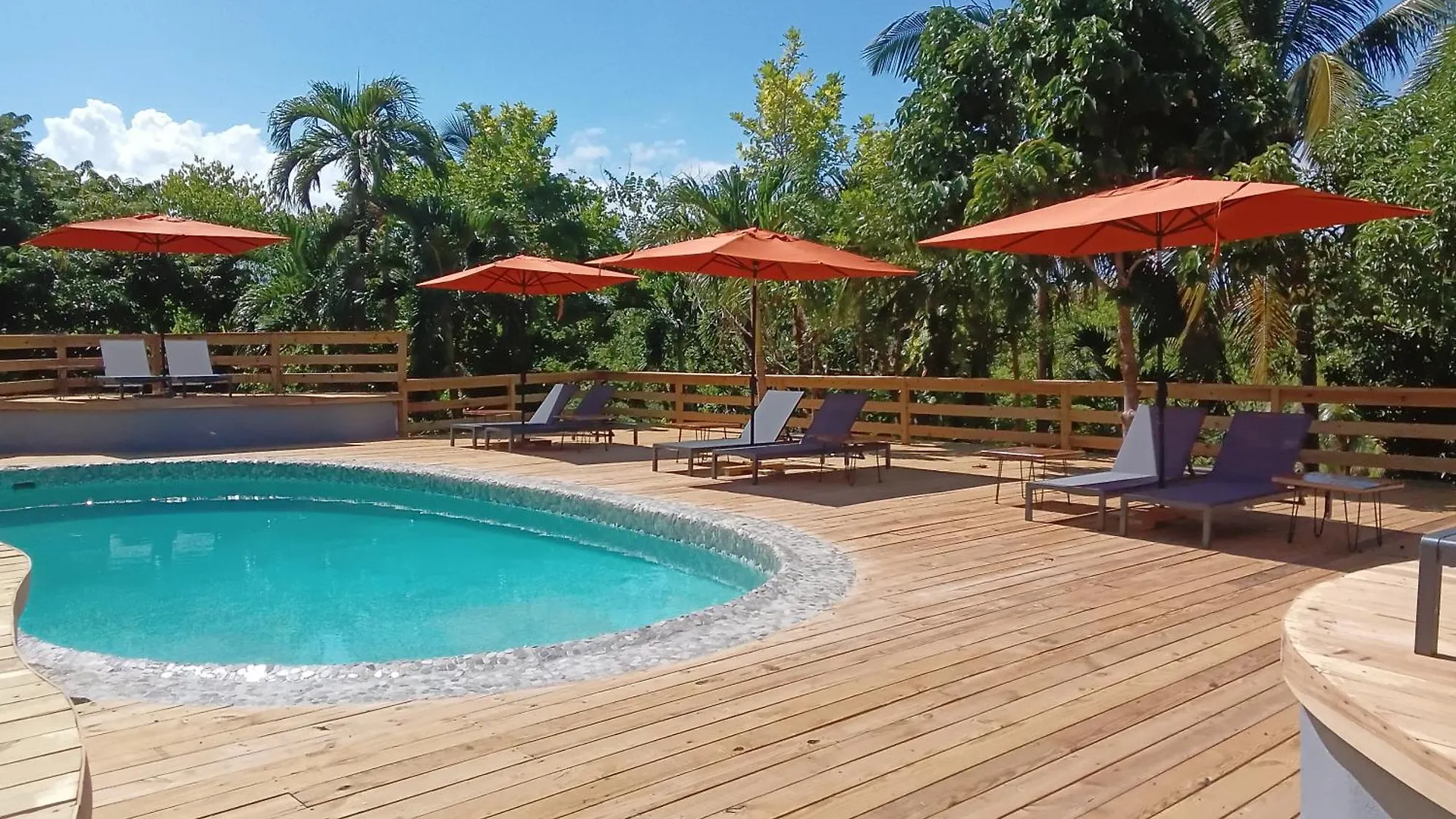 Lf Jungle Retreat Hotel Drapers Jamaica