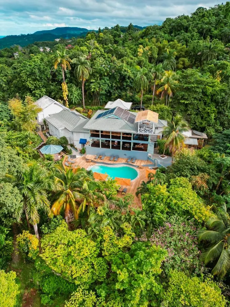 Lf Jungle Retreat Hotel Drapers