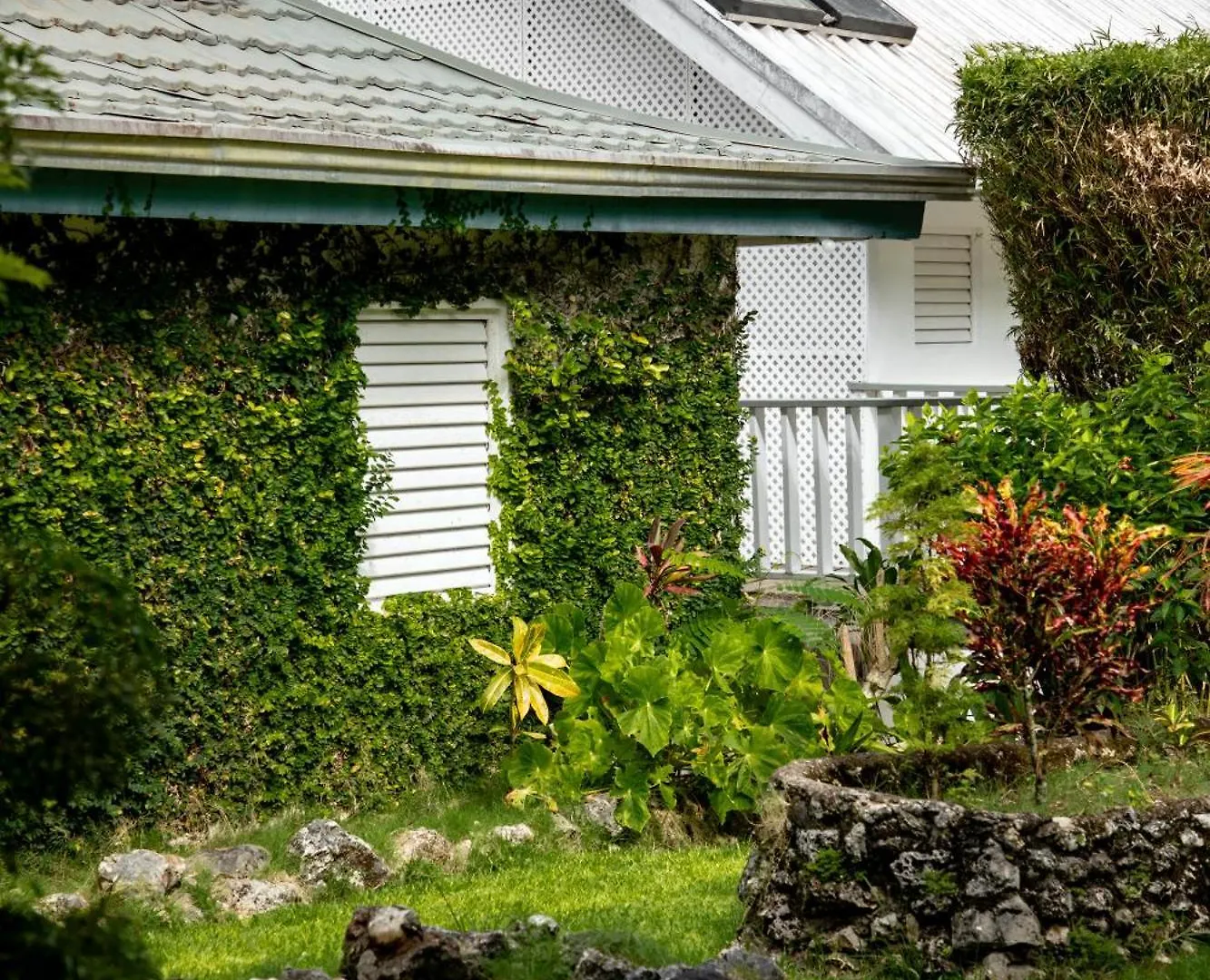 Lf Jungle Retreat Hotel Drapers 4*,  Jamaica