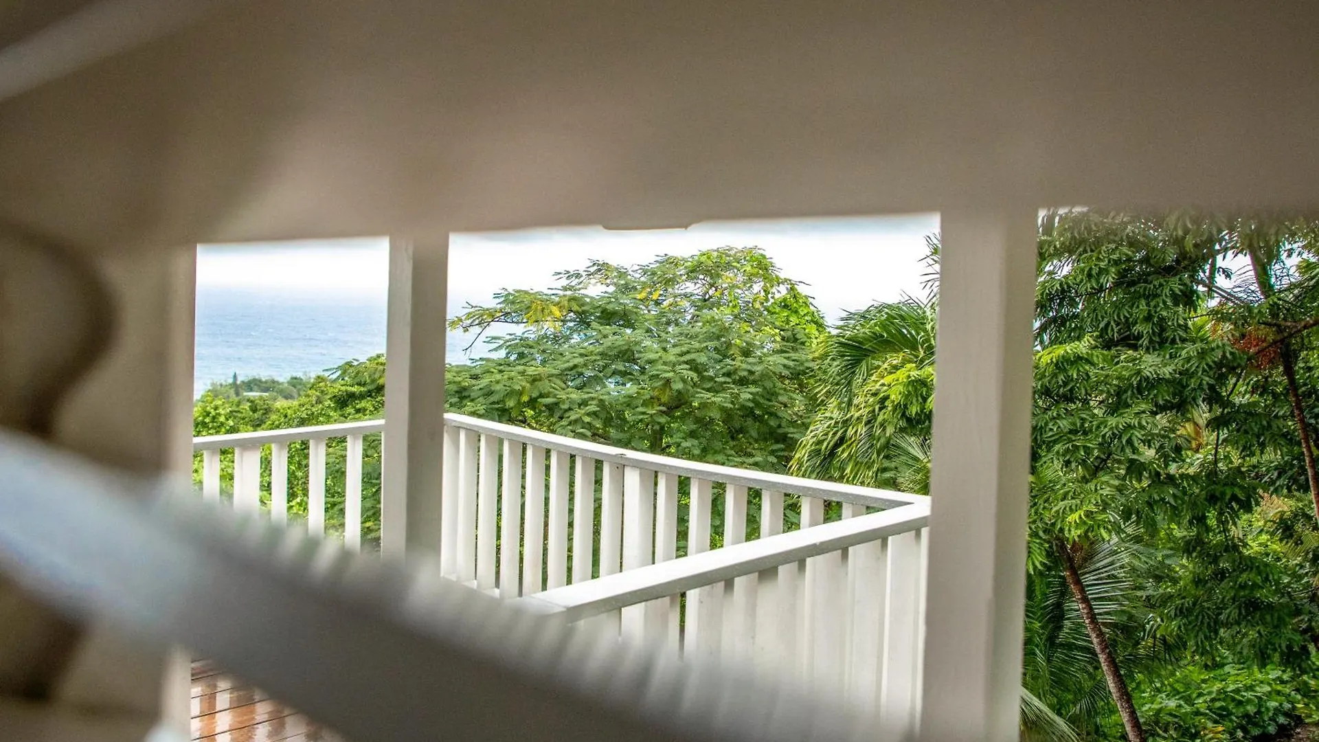 ****  Lf Jungle Retreat Hotel Drapers Jamaica