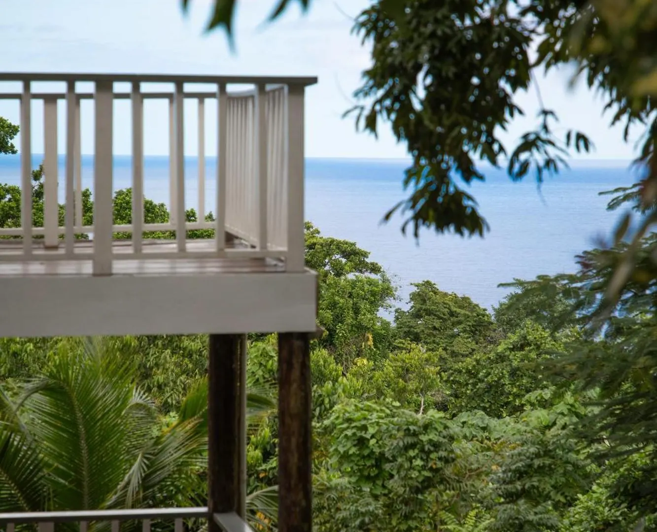 Hotel Lf Jungle Retreat Drapers